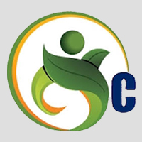 Chinar Services - Logo